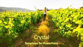  Presentation with vineyards - Amazing presentation design having vineyards are on a hills backdrop and a tawny brown colored foreground