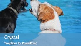  Presentation with free dog - Slides having the end of summer background and a teal colored foreground