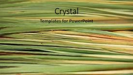  Presentation with holiday - PPT layouts featuring the eve of sukkot background and a gold colored foreground