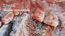 Presentation with flea - PPT layouts with the-flea-fish-market-seafood background and a red colored foreground