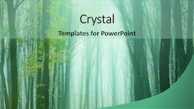  Presentation with foggy forest - PPT theme featuring the foggy autumn forest background and a mint green colored foreground