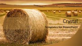  Presentation with hay field - Beautiful slides featuring the foreground in rural backdrop and a gold colored foreground
