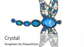  Presentation with dragonfly - Cool new PPT layouts with the form of dragonfly backdrop and a white colored foreground