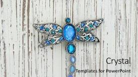  Presentation with dragonfly - PPT theme featuring the form of dragonfly background and a light gray colored foreground