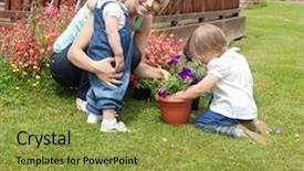  Presentation with blooming flower animated - Audience pleasing slides consisting of the garden plant flower backdrop and a gold colored foreground