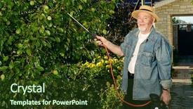  Presentation with vegetable gardening - Audience pleasing presentation theme consisting of the garden with pest backdrop and a tawny brown colored foreground