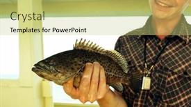  Presentation with sea - Slide deck consisting of the-hands-of-a-freshly background and a yellow colored foreground