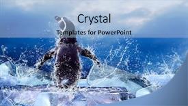  Presentation with water drops - Slide deck featuring the ice in water background and a light blue colored foreground