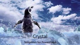  Presentation with water drops - Slides enhanced with the ice in water background and a light blue colored foreground