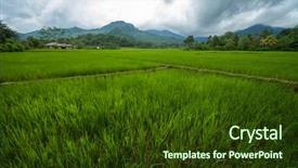  Presentation with rice field - Cool new presentation with the island of flores backdrop and a  colored foreground