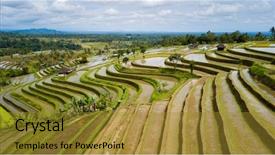  Presentation with unesco - Audience pleasing PPT theme consisting of the jatiluwih terraces ricefield backdrop and a gold colored foreground