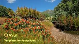  Presentation with cape town south africa - Slide set with the kirstenbosch botanical garden background and a tawny brown colored foreground