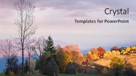  Presentation with forest morning - Amazing theme having the meadow beautiful deciduous backdrop and a light blue colored foreground