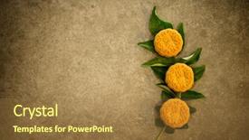  Presentation with traditional chinese character - Amazing PPT layouts having the mid-autumn festival backdrop and a coral colored foreground