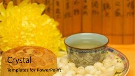  Presentation with third - PPT theme having musca - housefly aka house fly background and a tawny brown colored foreground