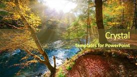  Presentation with forest morning - PPT theme with the misty autumn forest background and a tawny brown colored foreground
