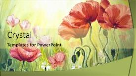  Presentation with poppies - Theme featuring the morning oil painting background and a blonde colored foreground