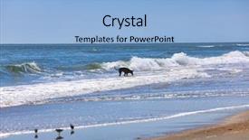  Presentation with ocean waves - Amazing theme having the ocean a dog backdrop and a light blue colored foreground