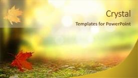  Presentation with green maple leaves - Slide deck consisting of the park falling leaves background and a cream colored foreground