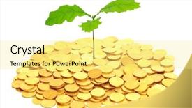  Presentation with investments - Amazing presentation design having the pile of coins backdrop and a blonde colored foreground