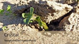  Presentation with earths crust - Audience pleasing presentation theme consisting of the potatoes raises crust backdrop and a coral colored foreground