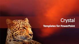  Presentation with lightning - Presentation consisting of the red dark sky background and a crimson colored foreground