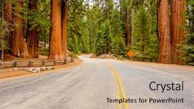  Presentation with united states - Amazing presentation theme having the redwoods california united backdrop and a soft green colored foreground