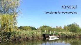  Presentation with willow tree - PPT theme enhanced with the river frome reed background and a light gray colored foreground