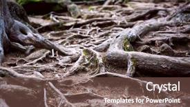  Presentation with tree roots - Colorful slide deck enhanced with the roots of tree backdrop and a violet colored foreground