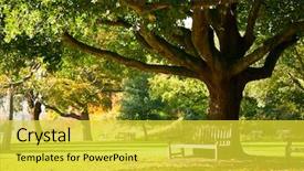  Presentation with royal - Audience pleasing slide set consisting of barbecue skewers with grilled pork meat on the brazier shish kebab backdrop and a tawny brown colored foreground