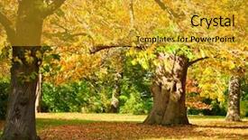  Presentation with royal - Audience pleasing slides consisting of the royal botanic garden backdrop and a gold colored foreground