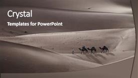  Presentation with camel caravan - Audience pleasing slide deck consisting of the sahara desert morocco backdrop and a dark gray colored foreground