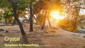  Presentation with refugee sanctuary immigrants illegal immigration - Beautiful slides featuring the sanctuary of poseidon backdrop and a tawny brown colored foreground