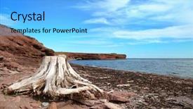  Presentation with root - Theme enhanced with the sea with choler background and a light blue colored foreground