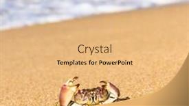  Presentation with alien - Slide set featuring the-shore-alien-creature background and a coral colored foreground