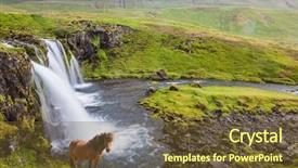  Presentation with grazing - PPT theme with horses grass land - shore of waterfall icelandic background and a tawny brown colored foreground