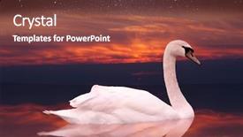  Presentation with dawn - Audience pleasing slides consisting of the sky with star backdrop and a red colored foreground