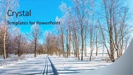  Presentation with ecotourism - PPT theme with the snow-covered aspen background and a teal colored foreground