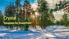  Presentation with forest morning - Presentation theme having the snow-covered coniferous background and a tawny brown colored foreground