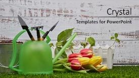  Presentation with green-life - Slide set enhanced with the soil young sprout background and a light gray colored foreground