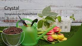  Presentation with green life - Presentation theme consisting of the soil young sprout background and a light gray colored foreground