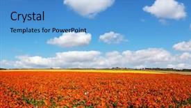  Presentation with rural tourism concept - Slide deck with the south of israel background and a teal colored foreground