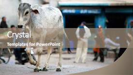  Presentation with asia - Presentation design consisting of the street in india background and a gray colored foreground