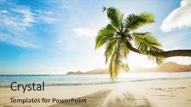  Presentation with palm tree - Presentation theme featuring the sunshine paradise island background and a soft green colored foreground