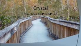  Presentation with swamp - Amazing PPT theme having biome - boardwalks in the swamp backdrop and a coral colored foreground