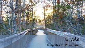  Presentation with swamp - Audience pleasing presentation theme consisting of biome - boardwalks in the swamp backdrop and a teal colored foreground