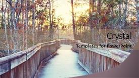  Presentation with swamp - Slides having biome - boardwalks in the swamp background and a light blue colored foreground