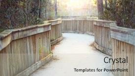  Presentation with swamp - Audience pleasing PPT theme consisting of biome - boardwalks in the swamp backdrop and a soft green colored foreground