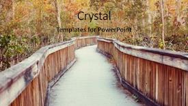  Presentation with swamp - PPT layouts featuring biome - boardwalks in the swamp background and a coral colored foreground