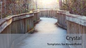  Presentation with swamp - Audience pleasing presentation design consisting of biome - boardwalks in the swamp backdrop and a light blue colored foreground